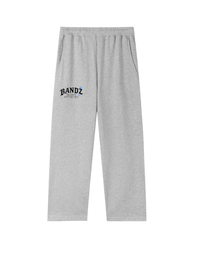 Bandz pants (Grey), main view
